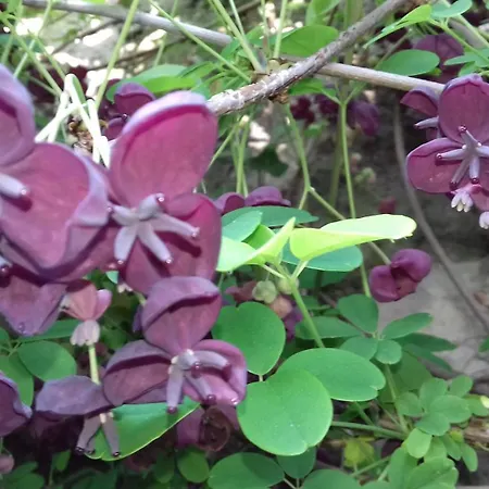 Casa Cantoniera Como