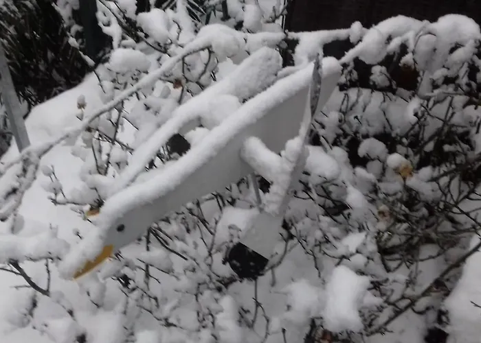 Casa Cantoniera Frühstückspension Como