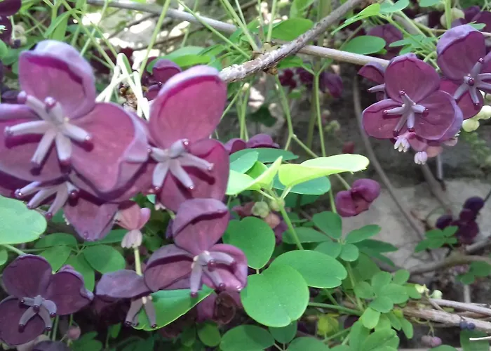 Casa Cantoniera Como